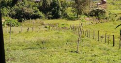 BELÍSSIMA CHÁCARA COM SOBRADO EM PEDRALVA-MG.   