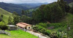 MARAVILHOSO SÍTIO DE 7.5 HECTARES, NO BAIRRO DO ROSÁRIO, EM DELFIM MOREIRA/MG