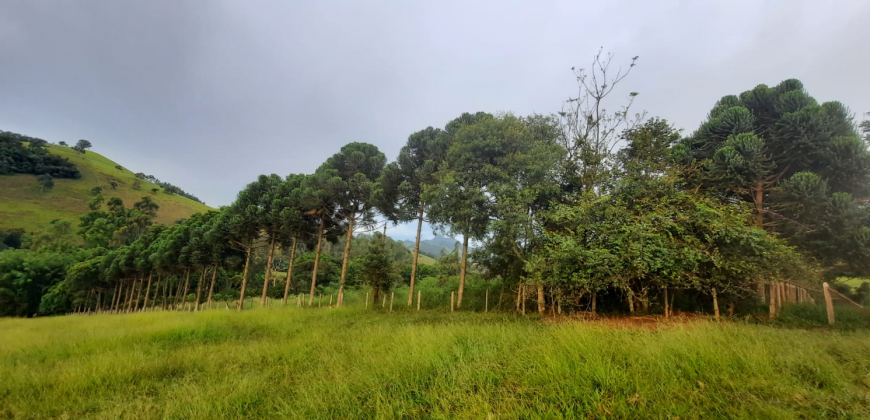 OPORTUNIDADE IMPERDÍVEL! BELÍSSIMO SÍTIO DE 2 ALQUEIRES, BAIRRO BOA VISTA, PIRANGUÇU/MG