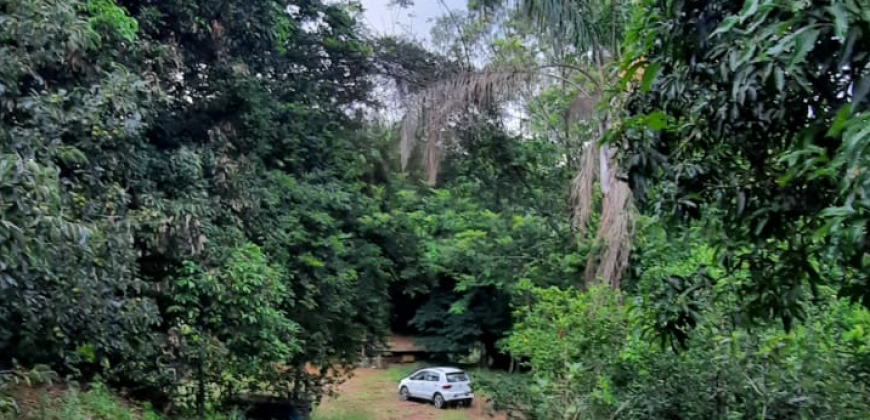 OPORTUNIDADE IMPERDÍVEL! BELÍSSIMO SÍTIO DE 2 ALQUEIRES, BAIRRO BOA VISTA, PIRANGUÇU/MG