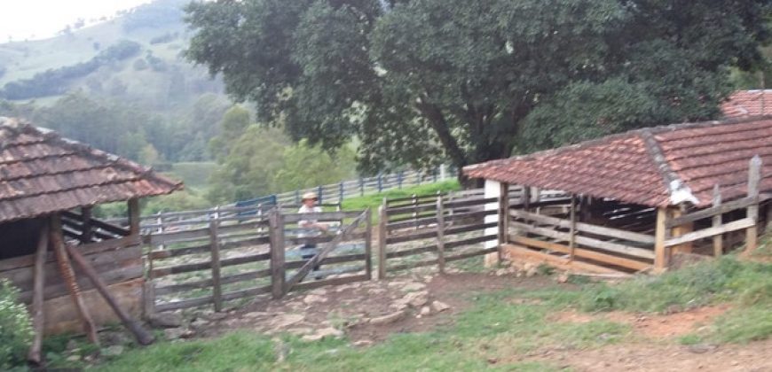 MARAVILHOSO SÍTIO DE 7 ALQUEIRES, BAIRRO CUBATÃO, EM MARMELÓPOLIS/MG