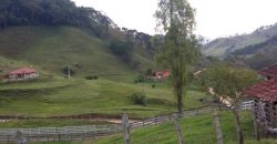 MARAVILHOSO SÍTIO DE 7 ALQUEIRES, BAIRRO CUBATÃO, EM MARMELÓPOLIS/MG