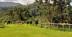 MARAVILHOSO SÍTIO NO CENTRO DE DELFIM MOREIRA/MG COM CERCA DE 8,6 HECTARES.