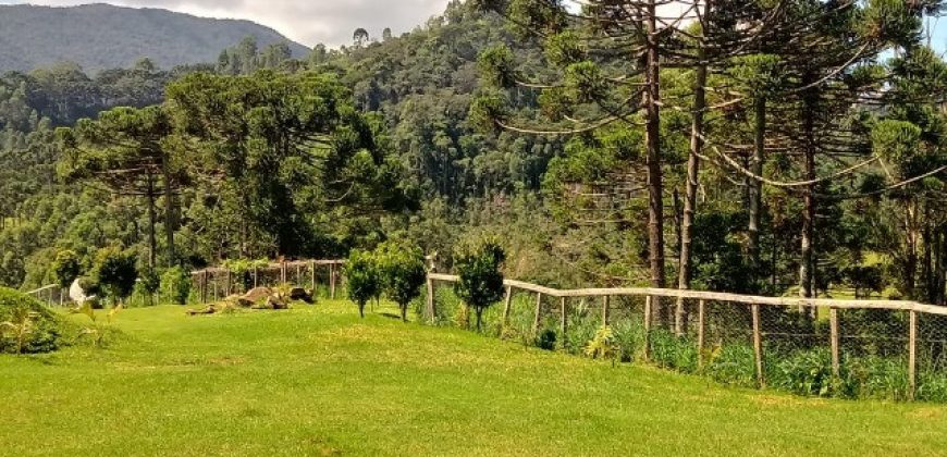 MARAVILHOSO SÍTIO NO CENTRO DE DELFIM MOREIRA/MG COM CERCA DE 8,6 HECTARES.