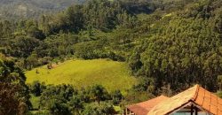 MARAVILHOSO SÍTIO NO CENTRO DE DELFIM MOREIRA/MG COM CERCA DE 8,6 HECTARES.