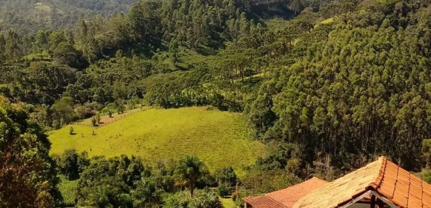 MARAVILHOSO SÍTIO NO CENTRO DE DELFIM MOREIRA/MG COM CERCA DE 8,6 HECTARES.