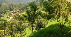 MARAVILHOSO SÍTIO NO CENTRO DE DELFIM MOREIRA/MG COM CERCA DE 8,6 HECTARES.