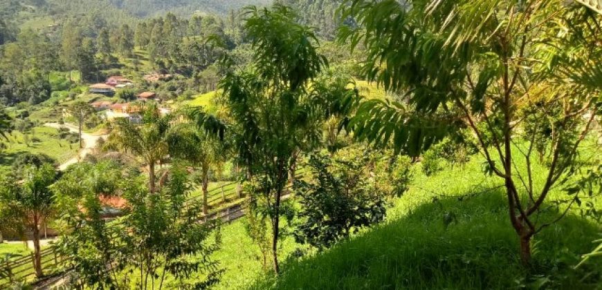 MARAVILHOSO SÍTIO NO CENTRO DE DELFIM MOREIRA/MG COM CERCA DE 8,6 HECTARES.