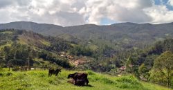 MARAVILHOSO SÍTIO NO CENTRO DE DELFIM MOREIRA/MG COM CERCA DE 8,6 HECTARES.