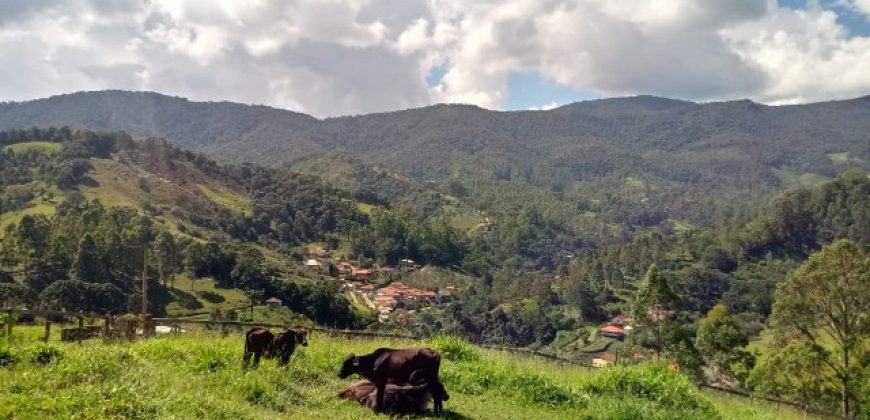 MARAVILHOSO SÍTIO NO CENTRO DE DELFIM MOREIRA/MG COM CERCA DE 8,6 HECTARES.