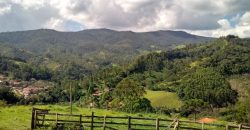 MARAVILHOSO SÍTIO NO CENTRO DE DELFIM MOREIRA/MG COM CERCA DE 8,6 HECTARES.