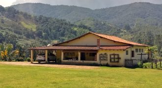 MARAVILHOSO SÍTIO NO CENTRO DE DELFIM MOREIRA/MG COM CERCA DE 8,6 HECTARES.