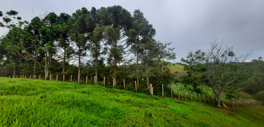 OPORTUNIDADE IMPERDÍVEL! BELÍSSIMO SÍTIO DE 2 ALQUEIRES, BAIRRO BOA VISTA, PIRANGUÇU/MG