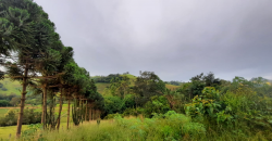 OPORTUNIDADE IMPERDÍVEL! BELÍSSIMO SÍTIO DE 2 ALQUEIRES, BAIRRO BOA VISTA, PIRANGUÇU/MG