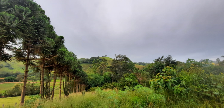 OPORTUNIDADE IMPERDÍVEL! BELÍSSIMO SÍTIO DE 2 ALQUEIRES, BAIRRO BOA VISTA, PIRANGUÇU/MG