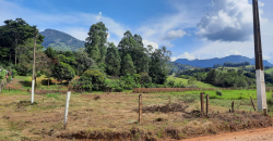 OPORTUNIDADE IMPERDÍVEL! BELÍSSIMO SÍTIO DE 2 ALQUEIRES, BAIRRO BOA VISTA, PIRANGUÇU/MG