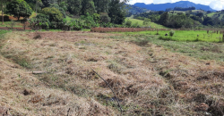 OPORTUNIDADE IMPERDÍVEL! BELÍSSIMO SÍTIO DE 2 ALQUEIRES, BAIRRO BOA VISTA, PIRANGUÇU/MG