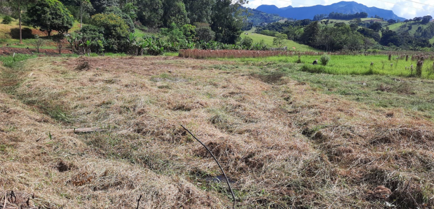 OPORTUNIDADE IMPERDÍVEL! BELÍSSIMO SÍTIO DE 2 ALQUEIRES, BAIRRO BOA VISTA, PIRANGUÇU/MG