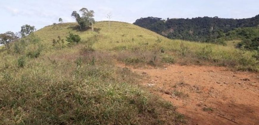 MAGNÍFICA FAZENDA COM 31 ALQUEIRES EM MARIA DA FÉ-MG