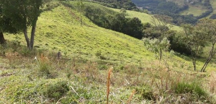 MAGNÍFICA FAZENDA COM 31 ALQUEIRES EM MARIA DA FÉ-MG