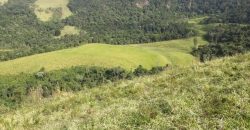 MAGNÍFICA FAZENDA COM 31 ALQUEIRES EM MARIA DA FÉ-MG