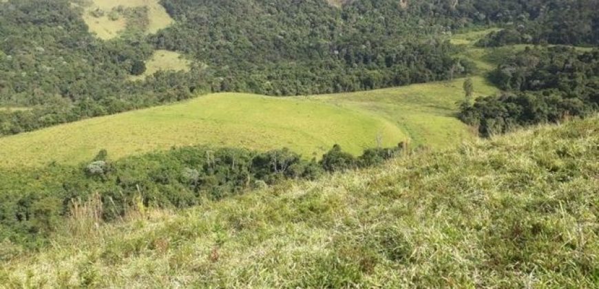 MAGNÍFICA FAZENDA COM 31 ALQUEIRES EM MARIA DA FÉ-MG