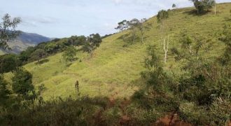 MAGNÍFICA FAZENDA COM 31 ALQUEIRES EM MARIA DA FÉ-MG