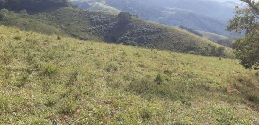 MAGNÍFICA FAZENDA COM 31 ALQUEIRES EM MARIA DA FÉ-MG