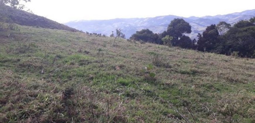 MAGNÍFICA FAZENDA COM 31 ALQUEIRES EM MARIA DA FÉ-MG