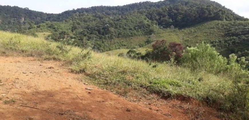 MAGNÍFICA FAZENDA COM 31 ALQUEIRES EM MARIA DA FÉ-MG