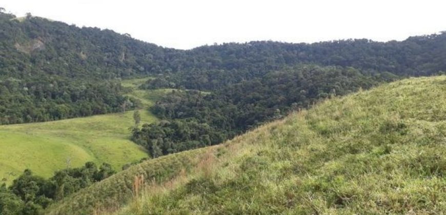 MAGNÍFICA FAZENDA COM 31 ALQUEIRES EM MARIA DA FÉ-MG