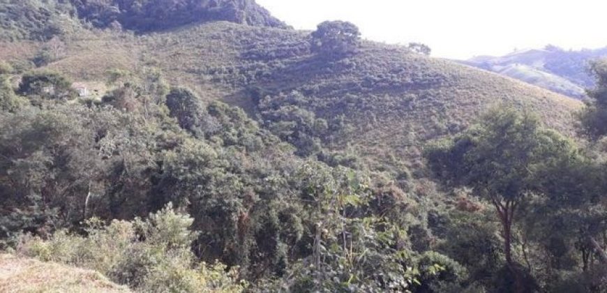 MAGNÍFICA FAZENDA COM 31 ALQUEIRES EM MARIA DA FÉ-MG