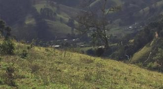 MARAVILHOSA FAZENDA DE 40 ALQUEIRES NO MUNICÍPIO DE DELFIM MOREIRA-MG   