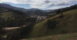 MARAVILHOSA FAZENDA DE 40 ALQUEIRES NO MUNICÍPIO DE DELFIM MOREIRA-MG   