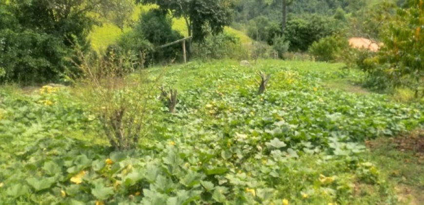 LINDO SÍTIO DE 24.000m², NO BAIRRO TORRES, A 5KM DE MARMELÓPOLIS/MG.