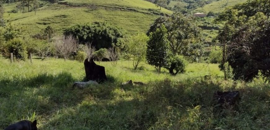 BELÍSSIMA CHÁCARA DE 20.000m², EM WENCESLAU BRAZ/MG, ZONA URBANA