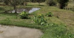 BELÍSSIMA CHÁCARA DE 5.000m², BAIRRO PIEDADE, ITAJUBÁ/MG   