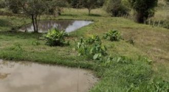 BELÍSSIMA CHÁCARA DE 5.000m², BAIRRO PIEDADE, ITAJUBÁ/MG   