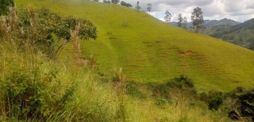 LINDO SÍTIO DE 24.000m², NO BAIRRO TORRES, A 5KM DE MARMELÓPOLIS/MG.