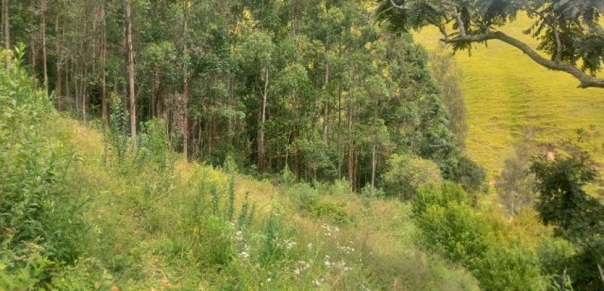 LINDO SÍTIO DE 24.000m², NO BAIRRO TORRES, A 5KM DE MARMELÓPOLIS/MG.