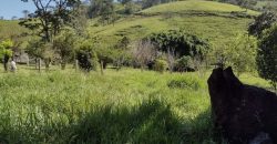 BELÍSSIMA CHÁCARA DE 20.000m², EM WENCESLAU BRAZ/MG, ZONA URBANA