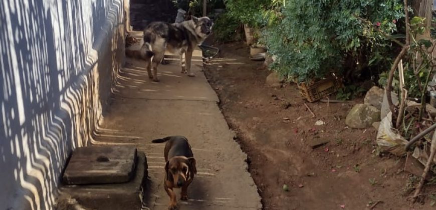 CASA NO BAIRRO BRUMADO, TERRENO DE 3.304m², ZONA RURAL, DELFIM/MG