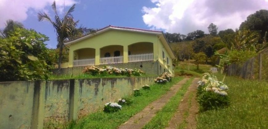 FANTÁSTICA CHÁCARA RESIDENCIAL COM 2,42 HECTARES, NO CENTRO DE DELFIM MOREIRA/MG