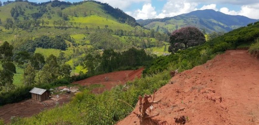 MARAVILHOSO SÍTIO DE 20.000m² EM MARMELÓPOLIS/MG