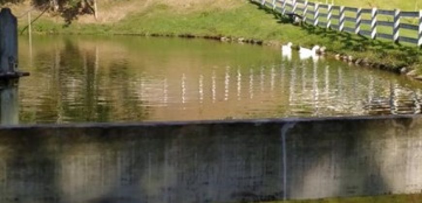 LINDA CHÁCARA COM 900m², NO BAIRRO ÁGUA LIMPA, DELFIM MOREIRA/MG