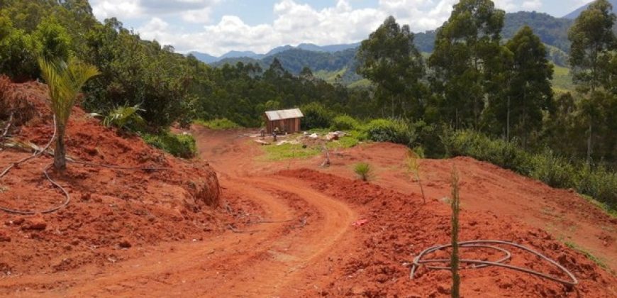 MARAVILHOSO SÍTIO DE 20.000m² EM MARMELÓPOLIS/MG