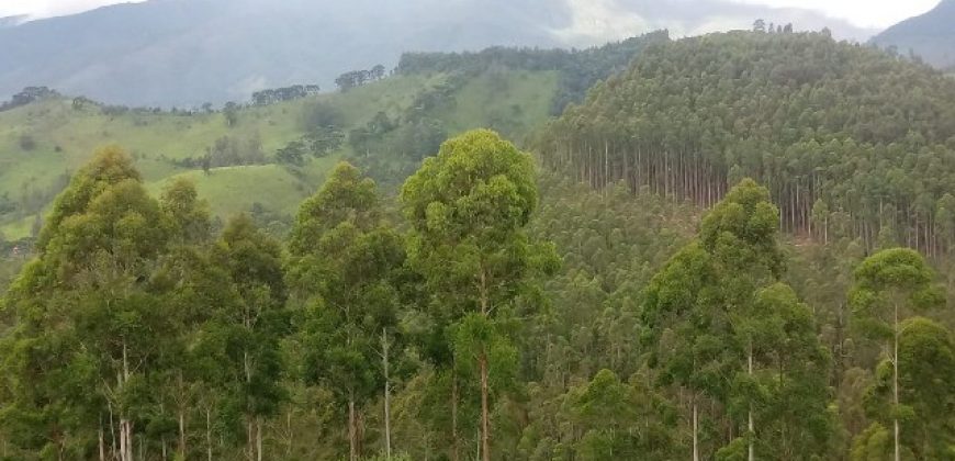 MARAVILHOSO SÍTIO DE 20.000m² EM MARMELÓPOLIS/MG