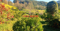 MARAVILHOSO SÍTIO BAIRRO QUATIS DE CIMA, COM 2,48 HECTARES, EM MARMELÓPOLIS/MG