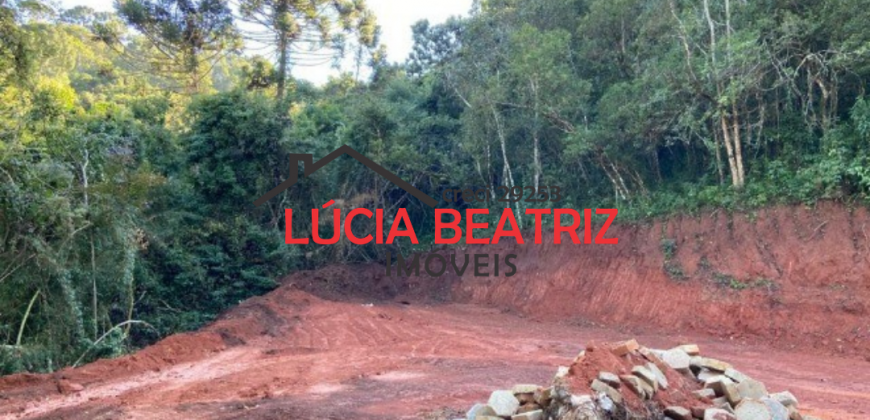 EXCELENTE TERRENO, COM 8.000 m², NO BAIRRO BRUMADO, DELFIM MOREIRA-MG