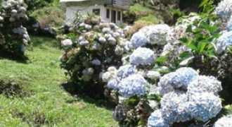 BELÍSSIMA FAZENDA NO SUL DE MINAS, COM 20 ALQUEIRES, EM DELFIM MOREIRA/MG